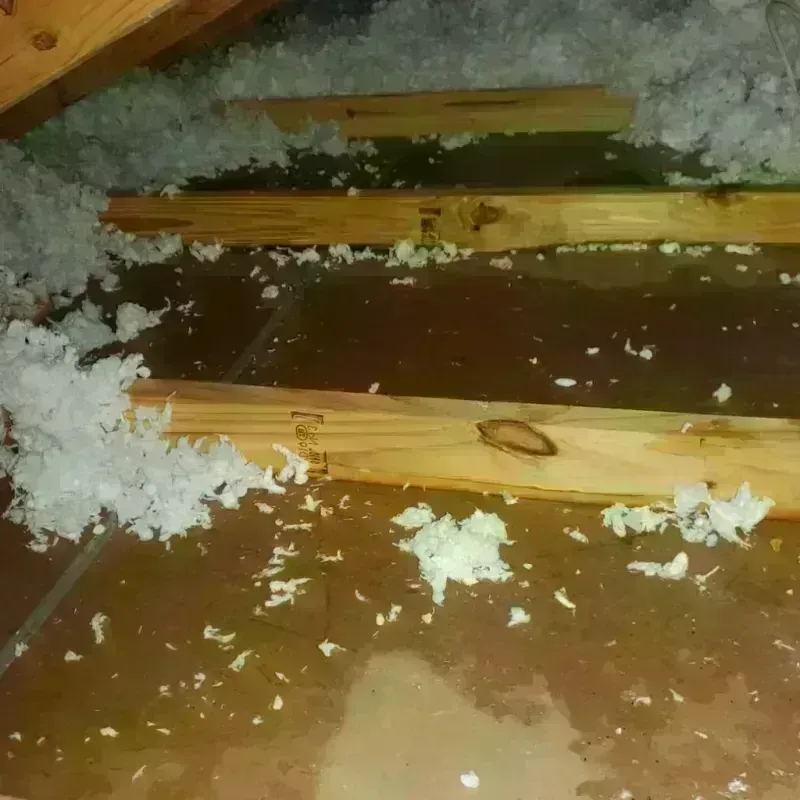 Attic Water Damage in Forest Meadows, CA