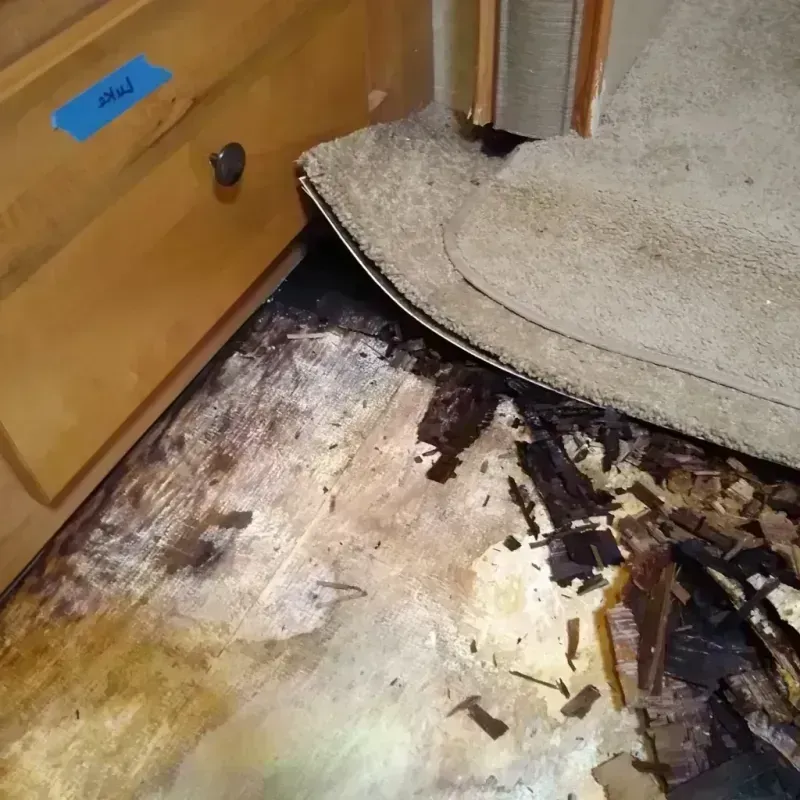 Wood Floor Water Damage in Forest Meadows, CA